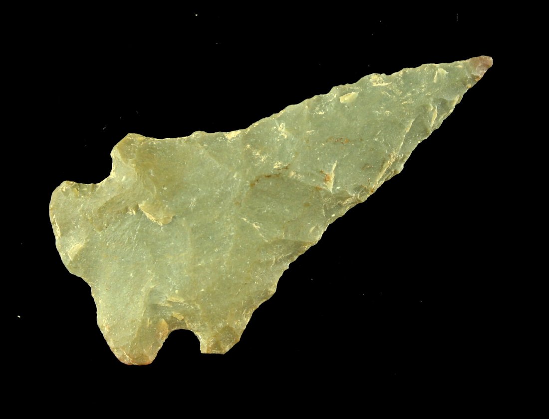 1 15/16" Pinetree (1 of 2)