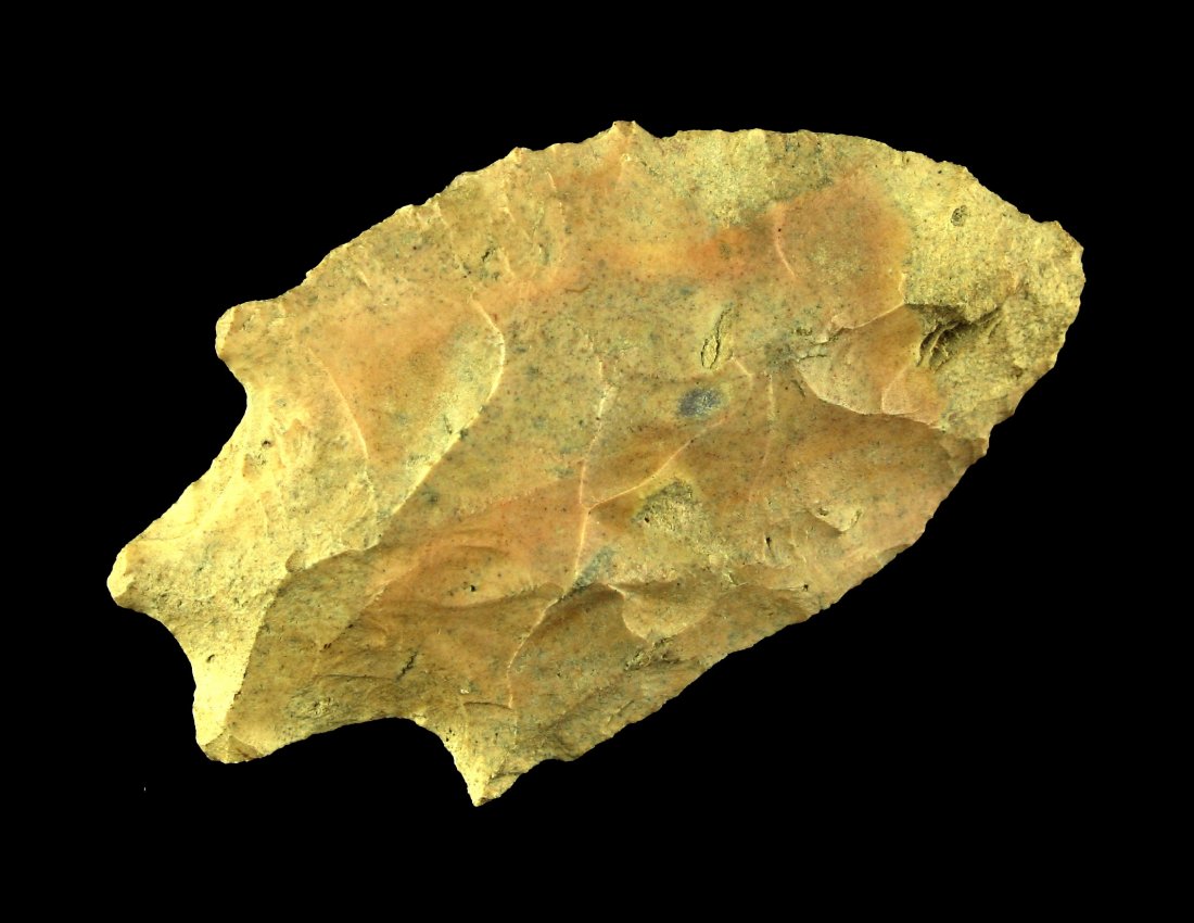 Colorful 2 7/8" Buzzard Roost (1 of 2)