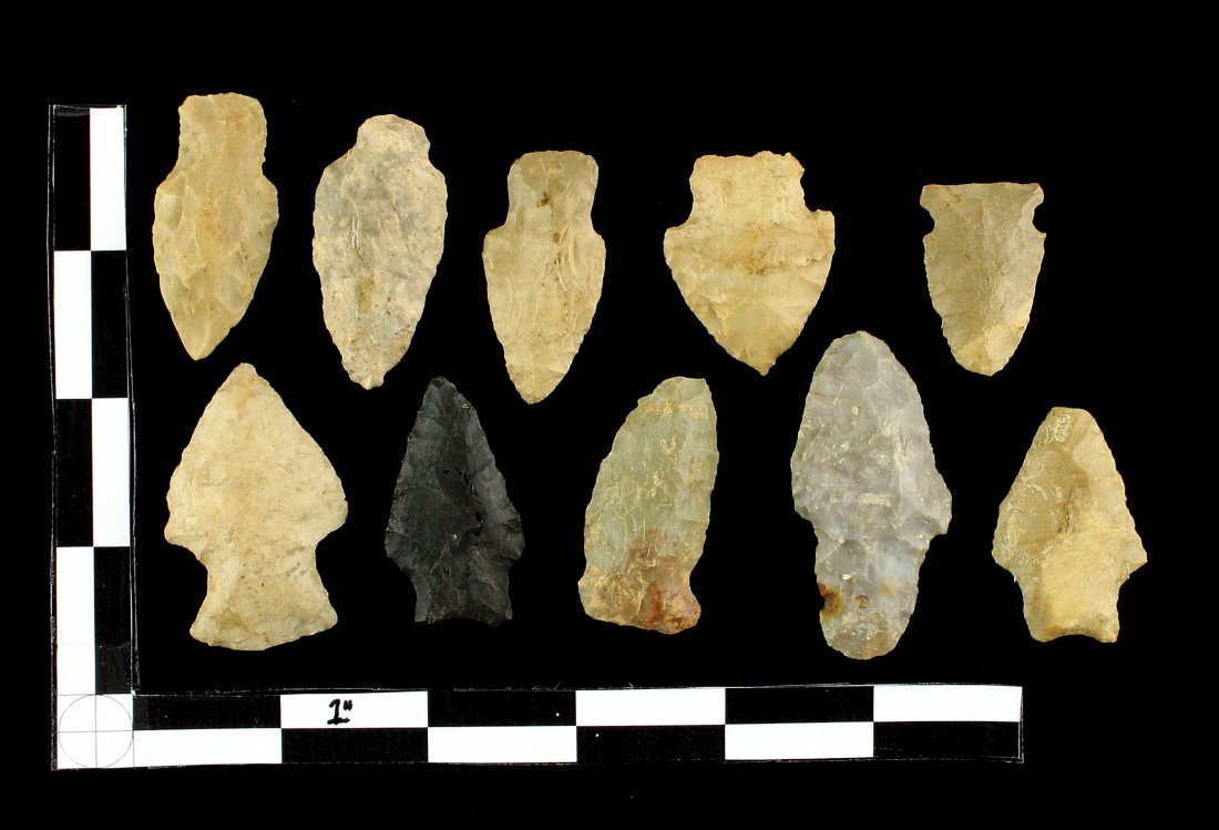 10 Nice Eastern KY Woodland Points (1 of 1)