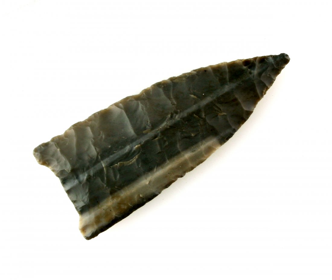 2 9/16" Goshen - Butler COA +1 (1 of 2)