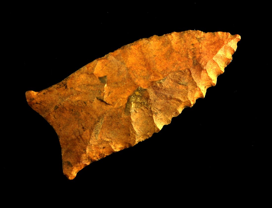 2 9/16" Beaver Lake - Partain COA (1 of 2)