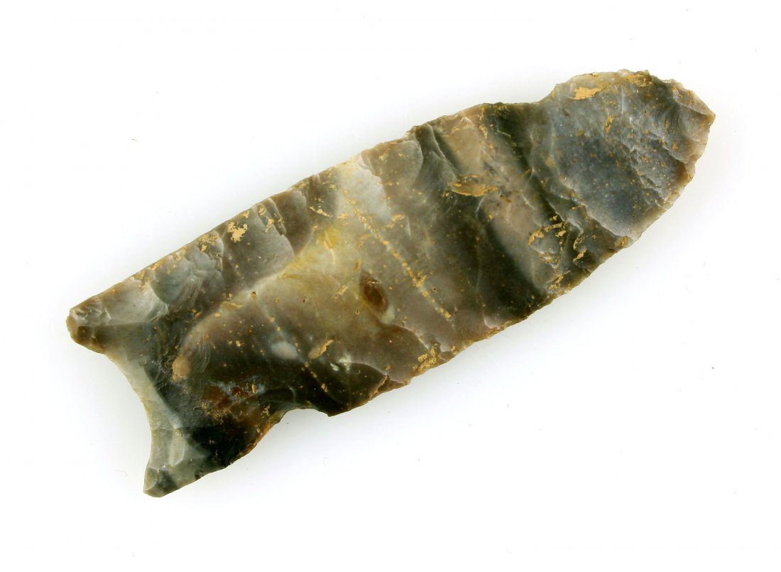 2 3/4" Clovis - Putty COA (1 of 2)