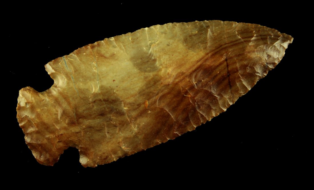 PICTURED G-10 Museum Grade 3 1/8" Chilcotin Plateau - (1 of 2)