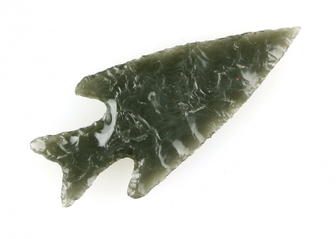 2" Exotic Vendetta - Ex John Cockrell (1 of 2)