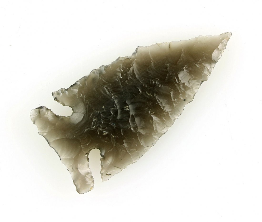 2 1/4" Bitterroot (1 of 2)