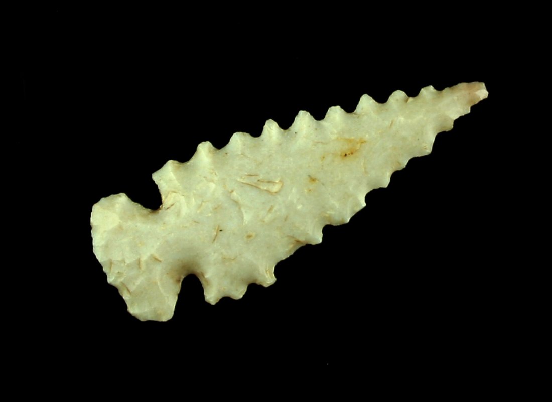 1 5/16" Sequoyah (1 of 2)