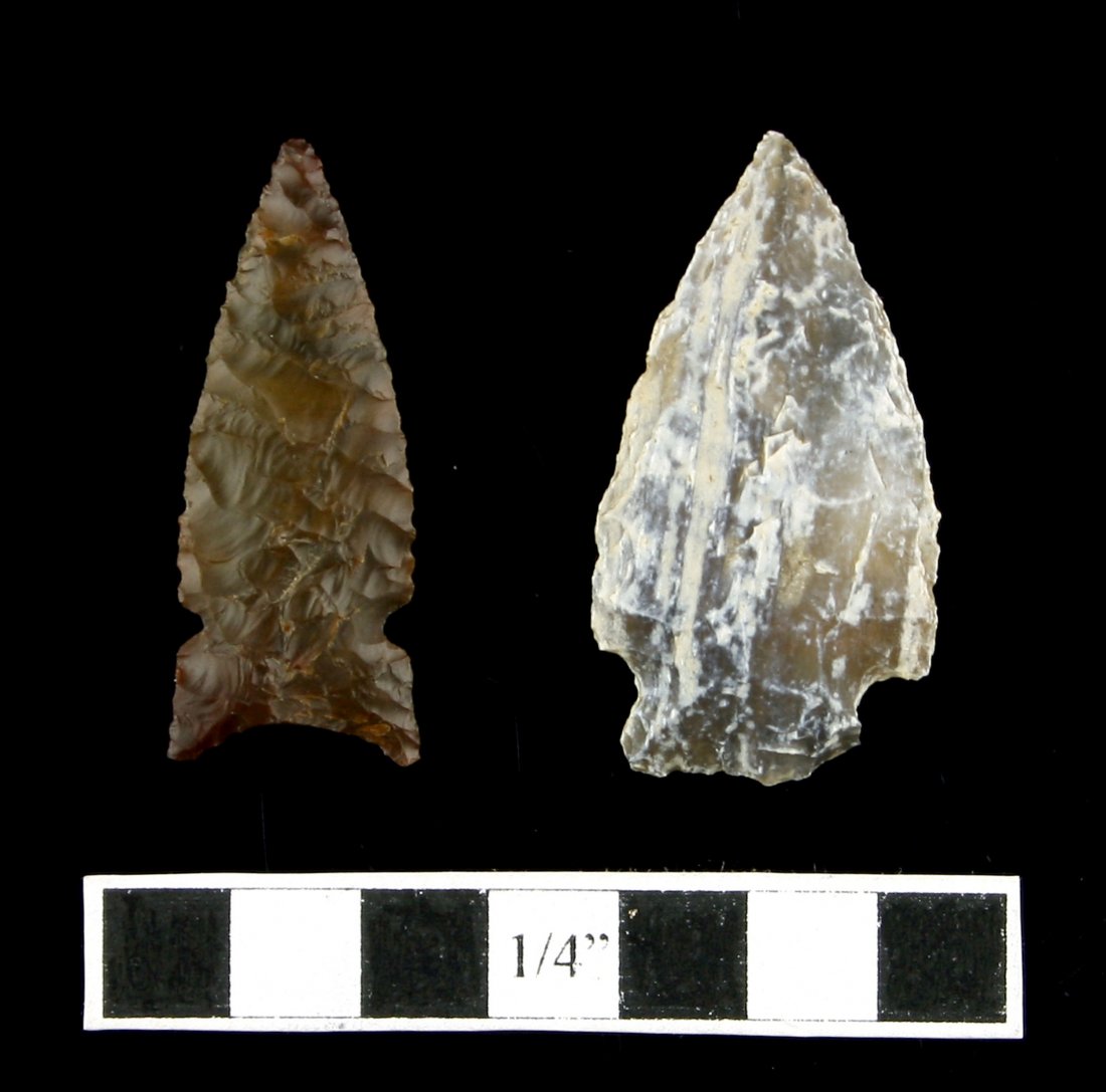 Pair of Western Birdpoints (1 of 2)