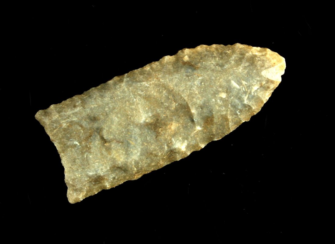 1 13/16" 'Barnes Variety' Clovis (1 of 2)