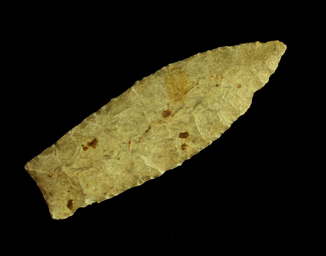 2 15/16" Agate Basin - Stermer COA (1 of 2)