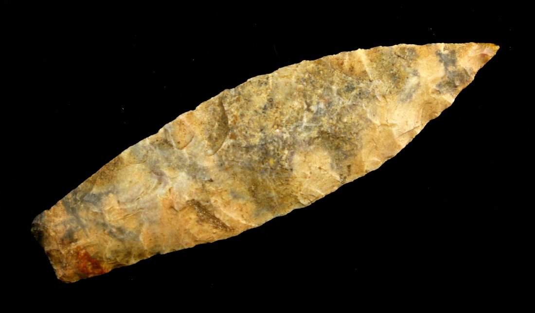 4 9/16" Sedalia - Stermer COA (1 of 2)