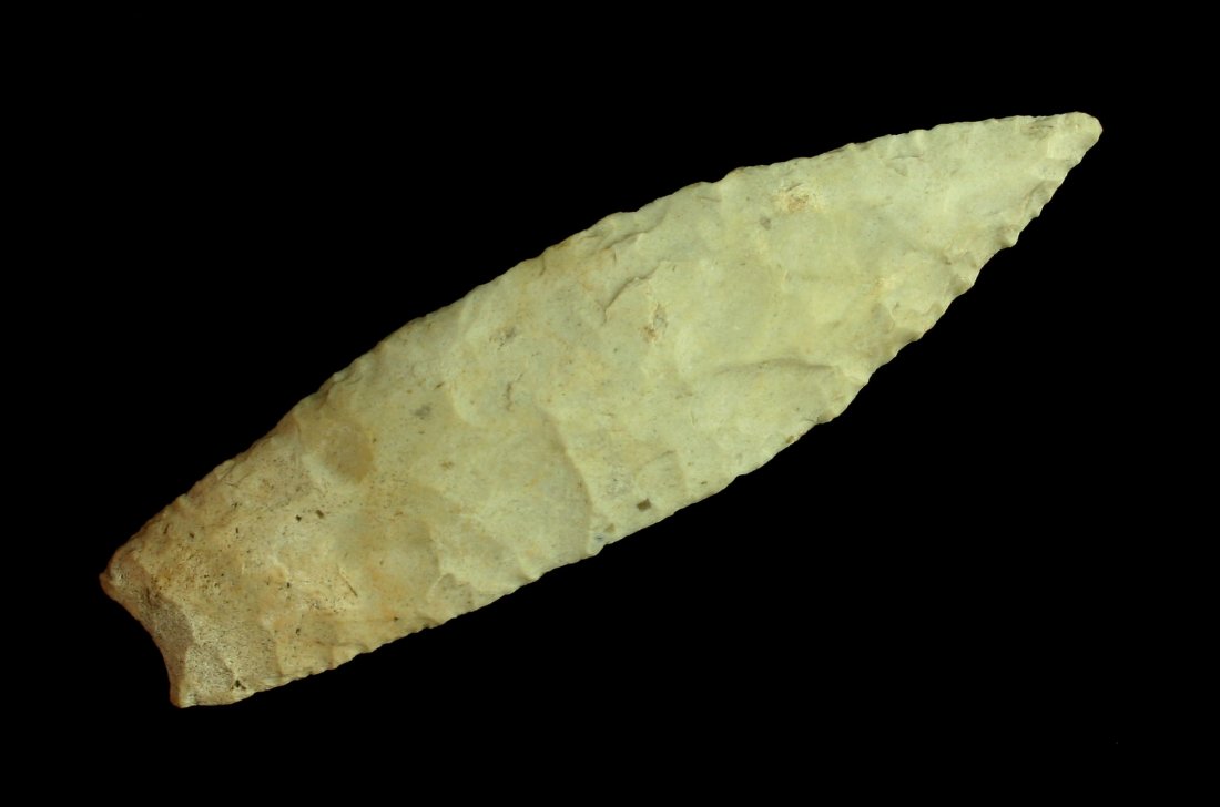 4 1/8" Sedalia - Motley COA (1 of 2)