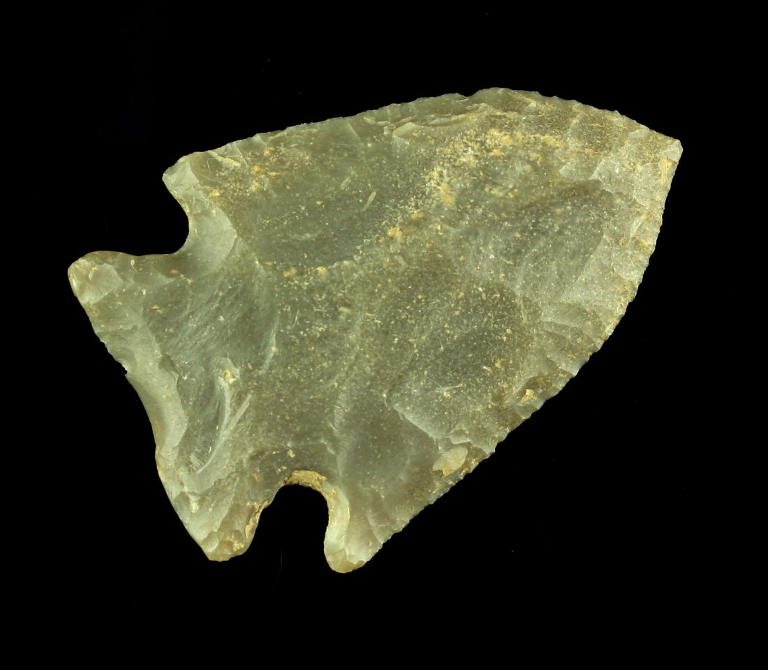 1 15/16" Pinetree: Nice Carter Cave example from Nicholas Co., Kentucky formerly of the Nicholas Hadden Collection. Finely serrated.