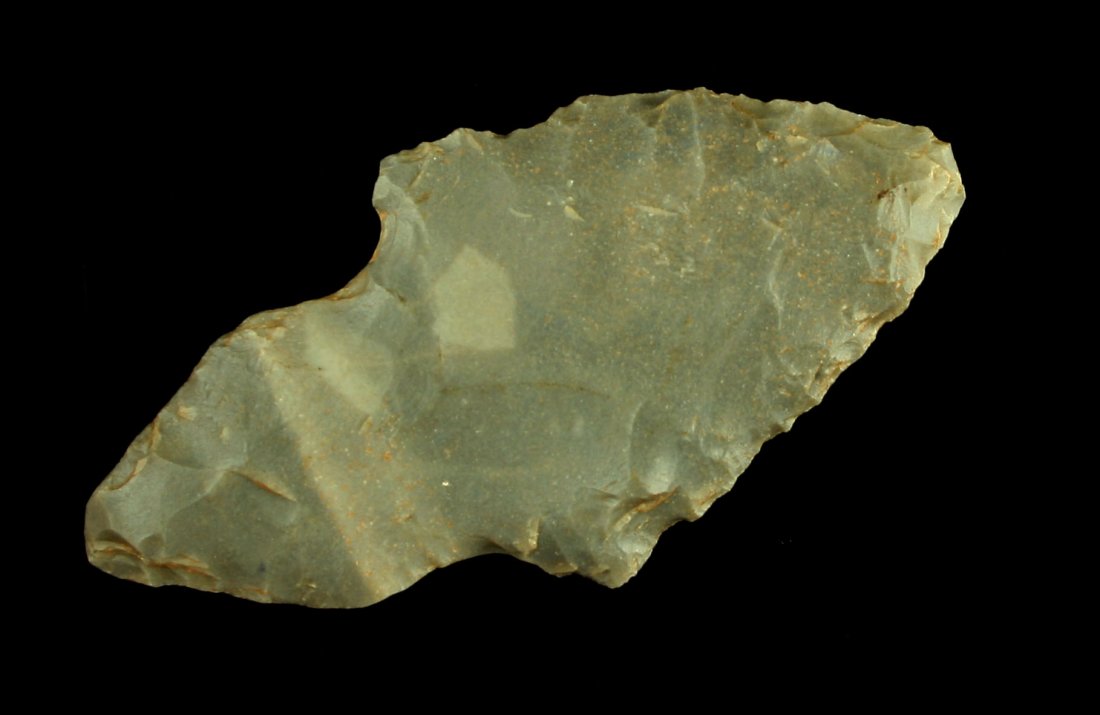 2 1/1" Turkeytail: Nice Hornstone example from Robertson Co., Tennessee. Harrison type. Ex Tate Collection.