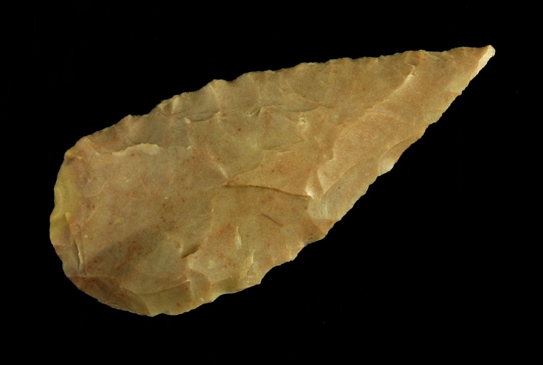 2 5/8" Cascade Leaf - Jackson COA (1 of 2)