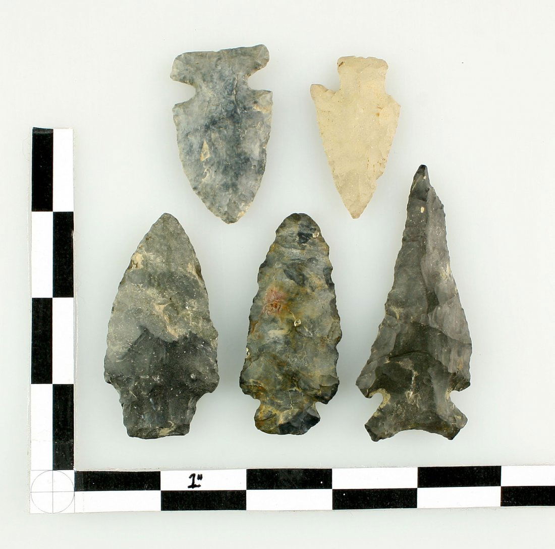 5 Archaic/Woodland Points (1 of 1)