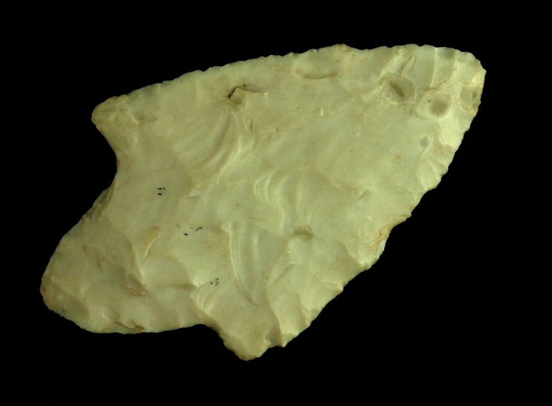 2 5/8" Adena - Sievers COA (1 of 2)