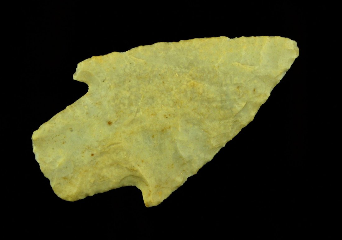 2 3/8" Texas Bulverde (1 of 2)