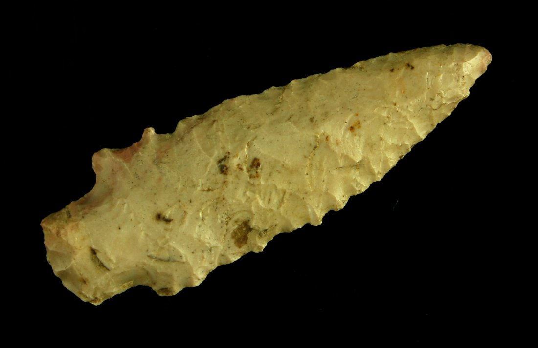 2 5/8" Kirk Stemmed - Davis COA (1 of 2)