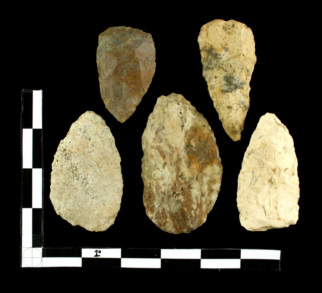 5 Illinois Preform Blades (1 of 1)