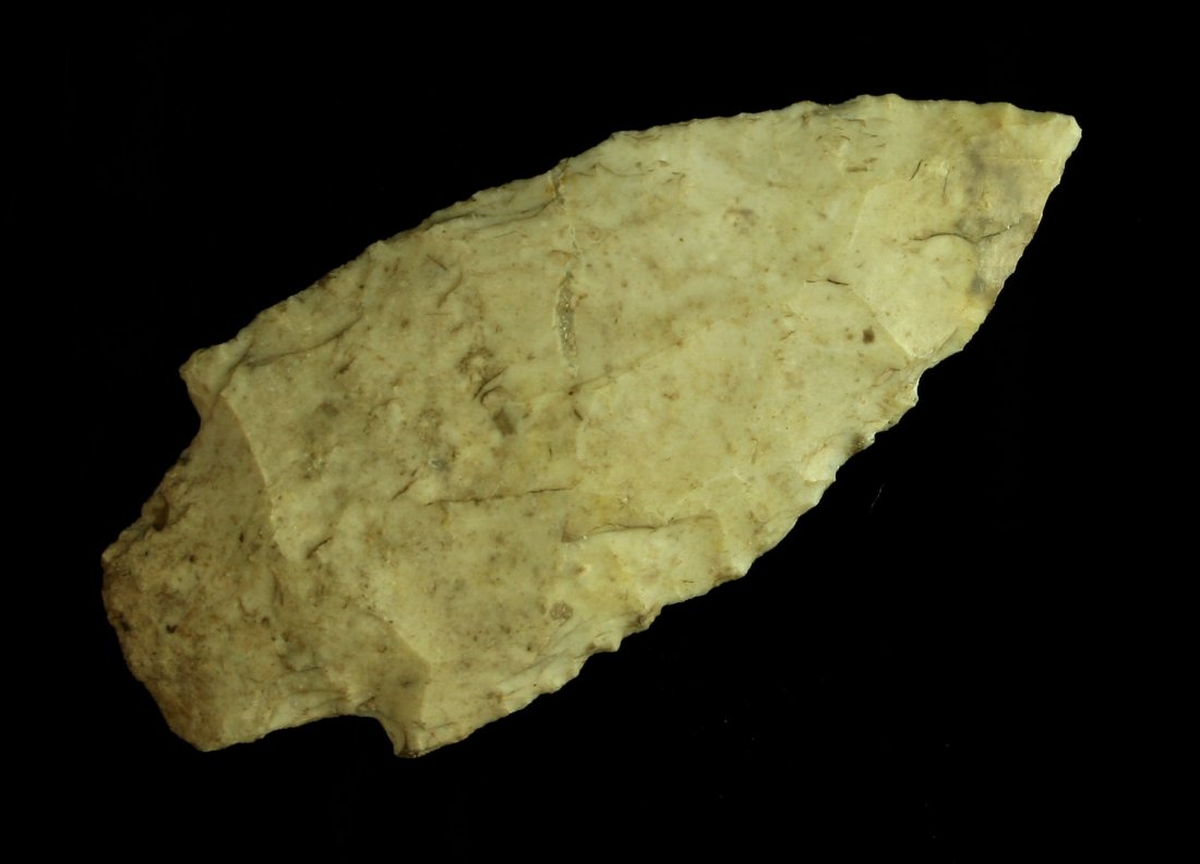 2 5/8" Dickson - Davis COA (1 of 2)