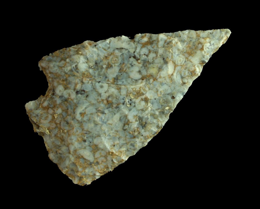 2 1/16" Woodland Point - Stermer COA (1 of 2)