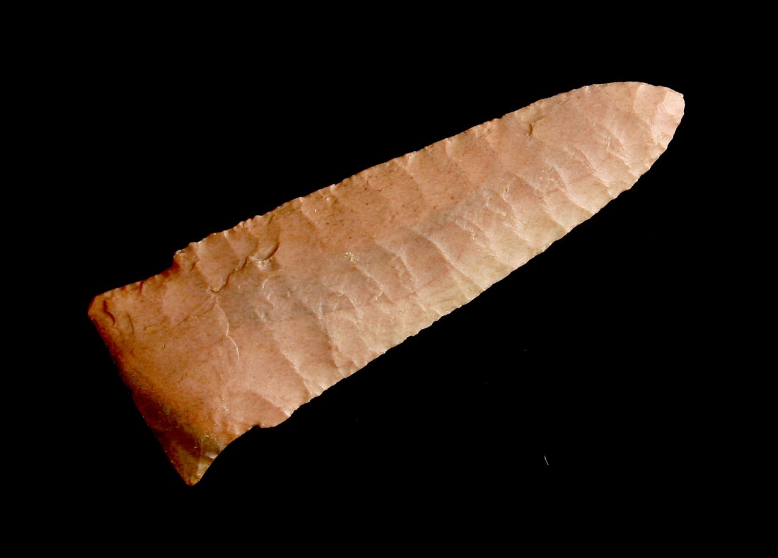 World Class 2 3/8" Eden - Jackson G-10 COA (1 of 2)