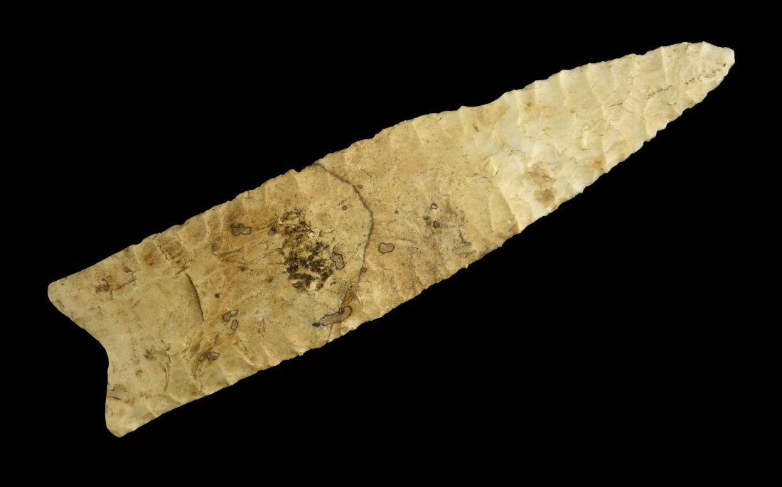 Extra Fine 5 7/8" Dalton - Jackson & Putty COA's (1 of 2)