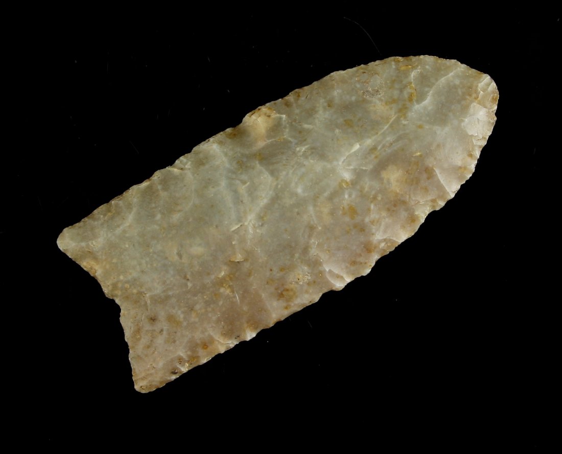 2 1/4" Clovis - Putty G-9+ COA (1 of 2)