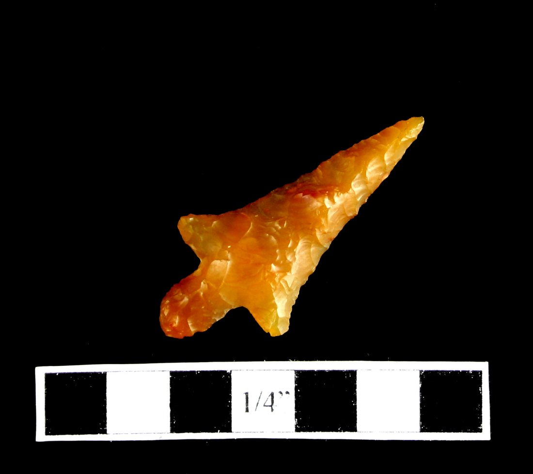 1 5/16" Rabbit Island (1 of 2)