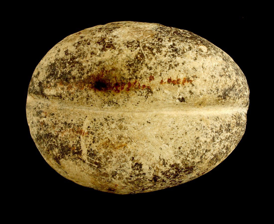 3 7/8" Loafstone - Jackson COA (1 of 4)