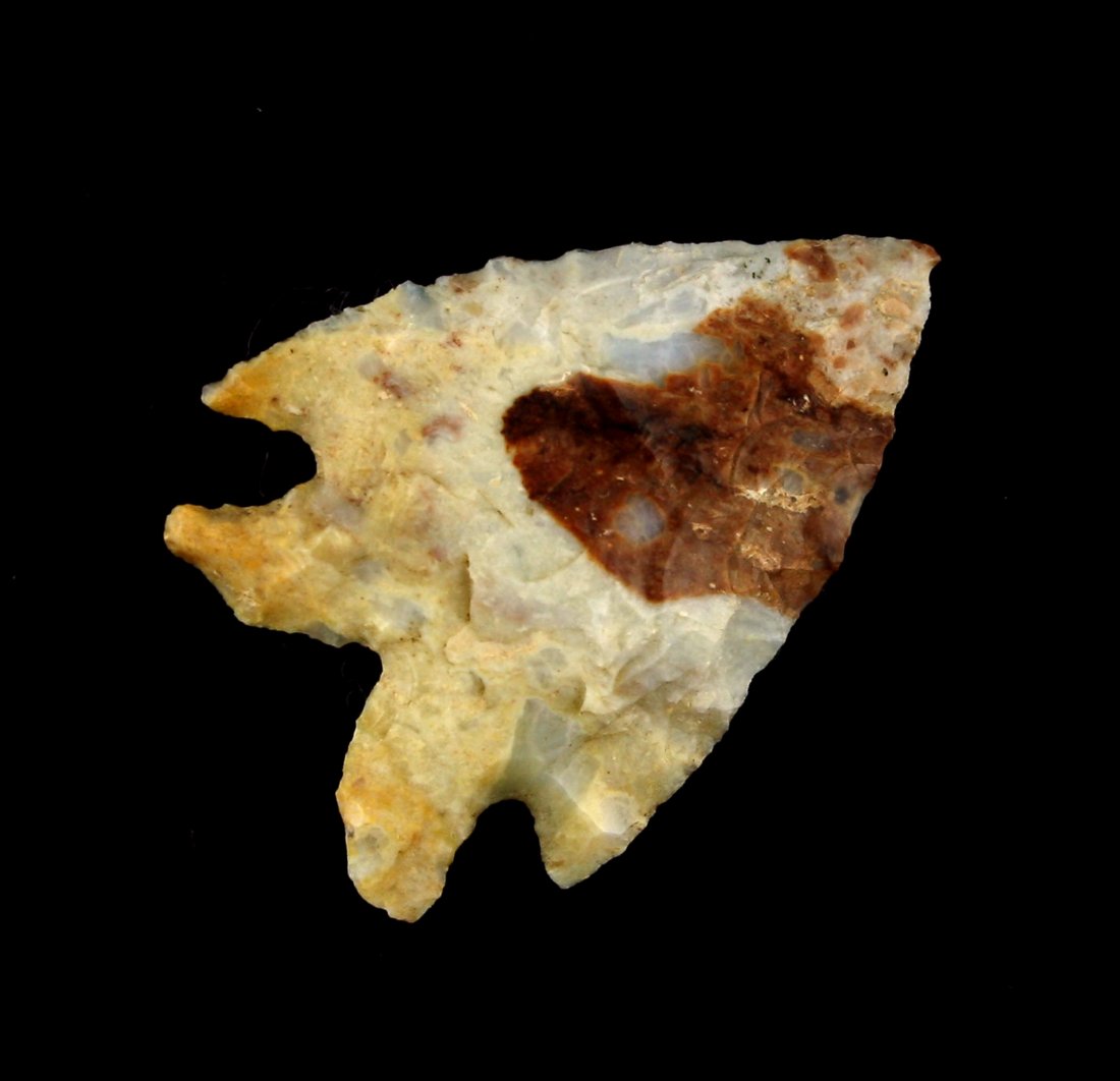 1 1/4" Elko Corner Notch (1 of 2)