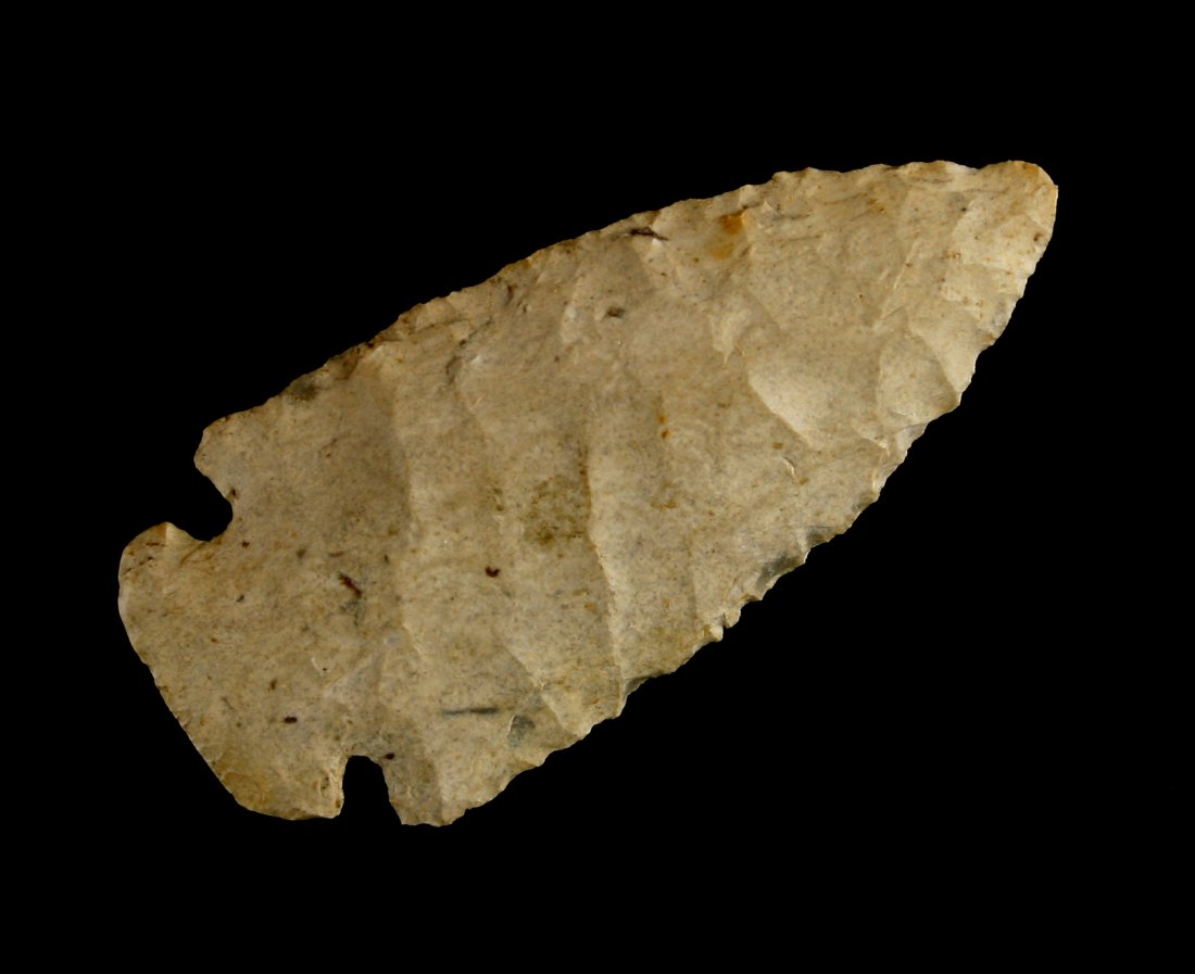 Extra Fine 2 7/8" Dovetail - Jackson G-9 COA (1 of 2)