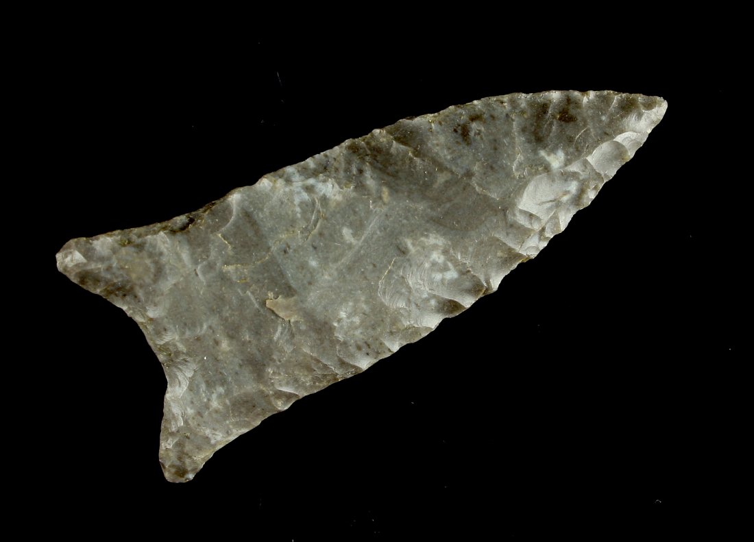 2 1/2" Beaver Lake (1 of 2)