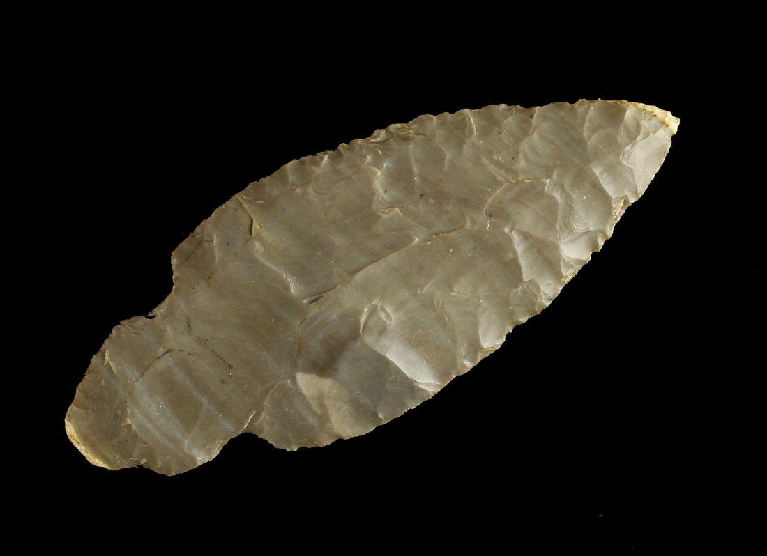 3 7/8" Turkeytail (1 of 2)