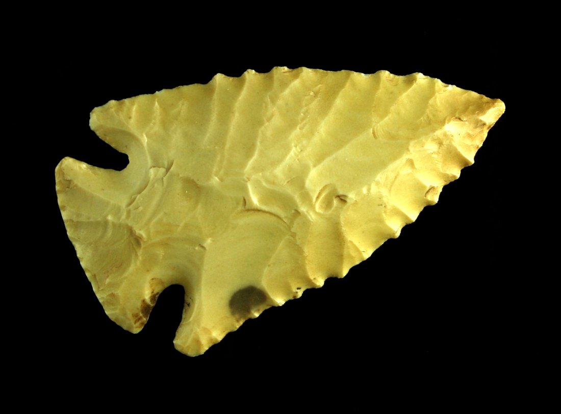 Outstanding 2 1/4" Pinetree - Jackson COA (1 of 2)