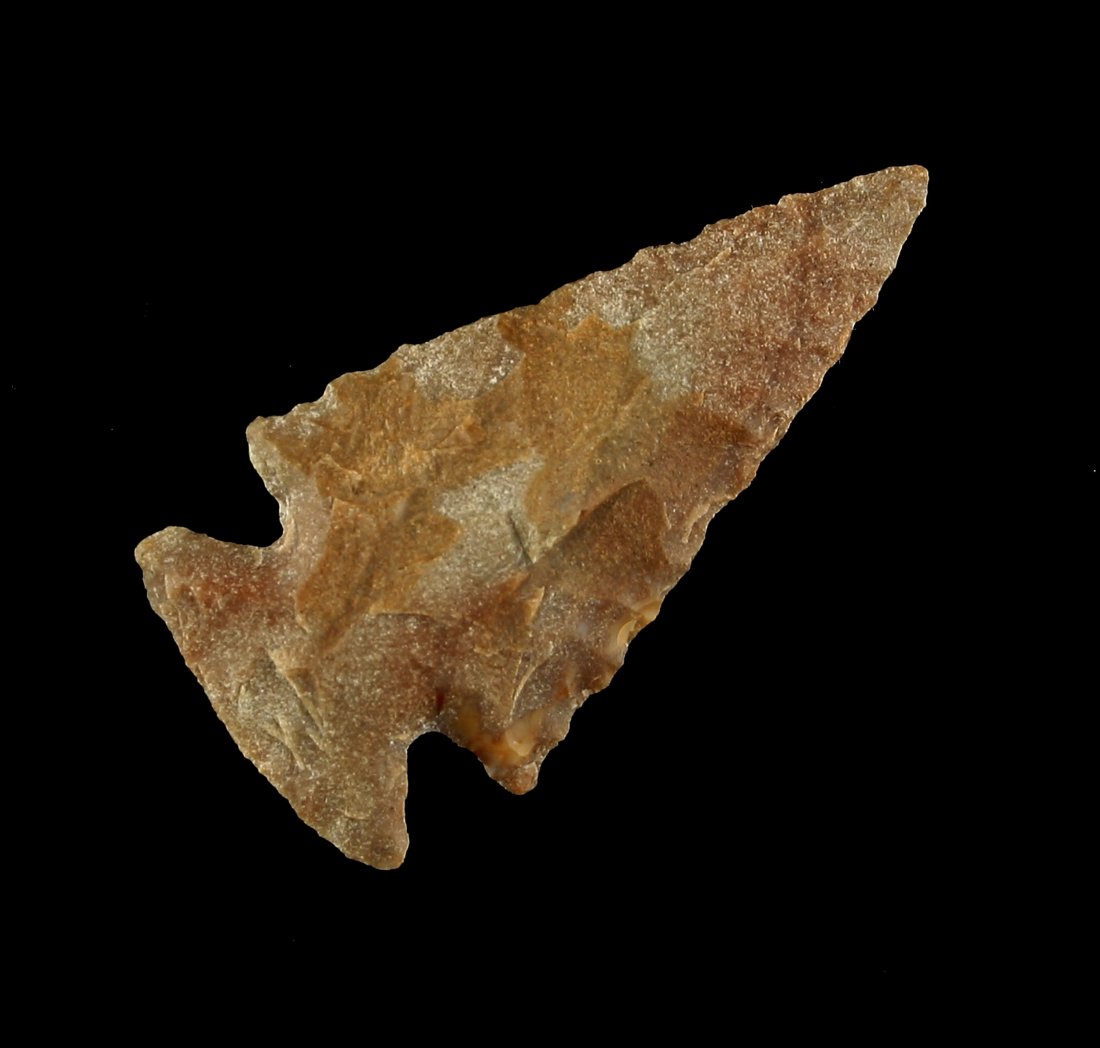 1 7/16" Texas Dart Point (1 of 2)