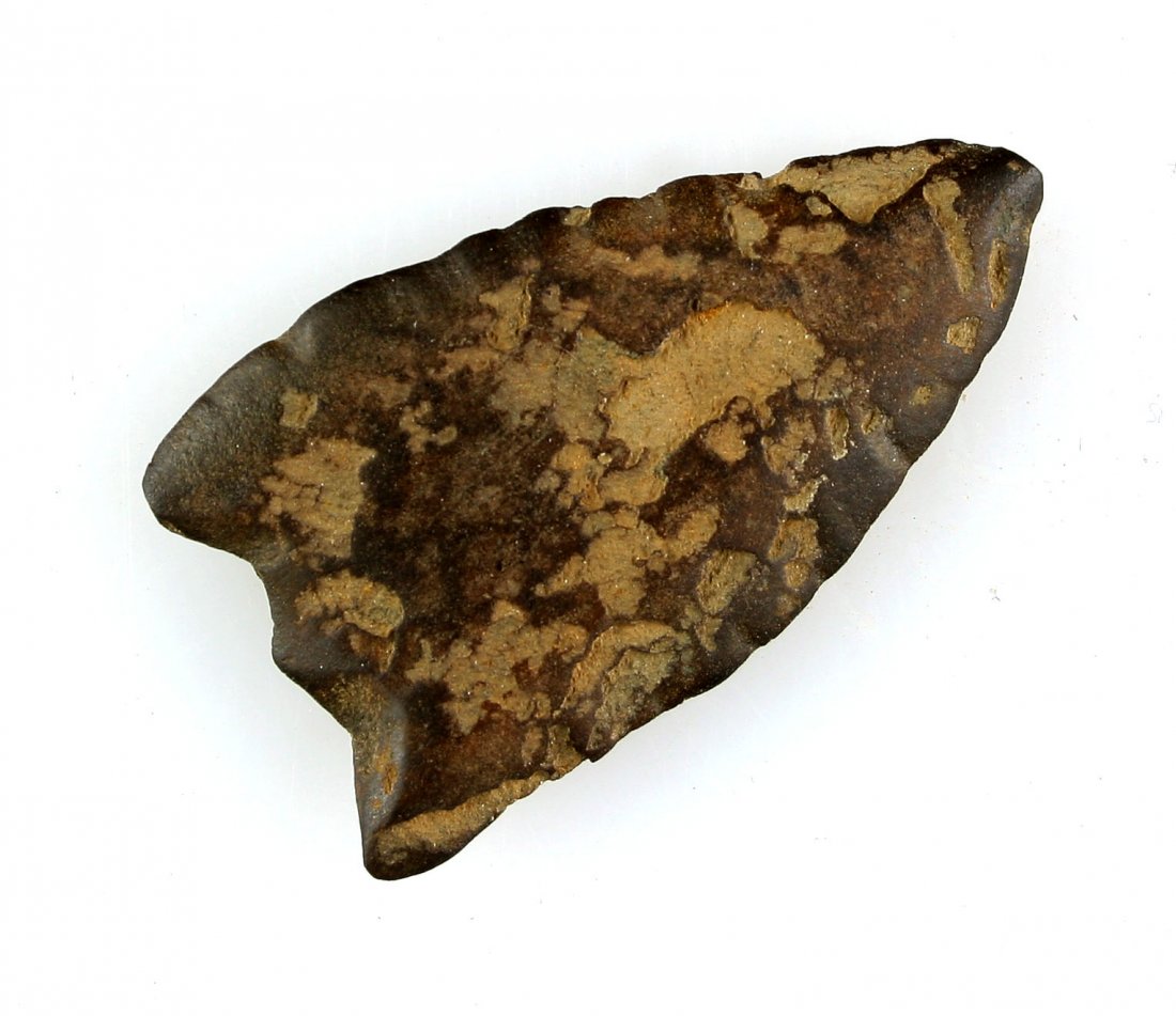 1 5/8" Ground and Polished Point - Partain COA (1 of 2)