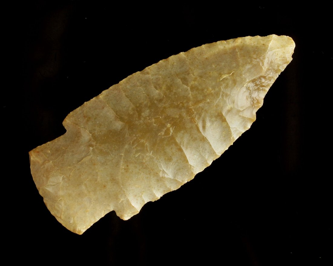 2 5/8" Scottsbluff - Perino COA (1 of 2)