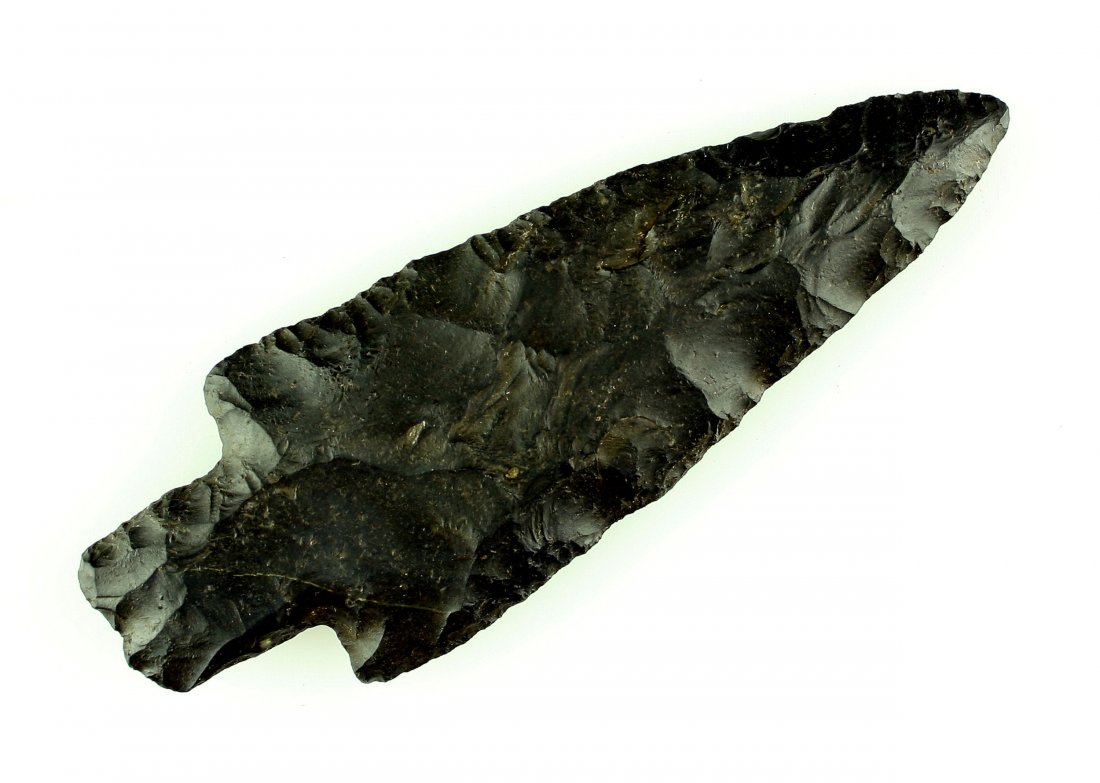 4 13/16" Adena - Putty G-9+ COA (1 of 2)