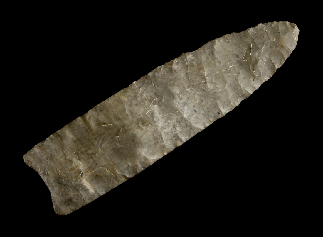 Outstanding 3 7/8" Goshen - Jackson G-9+ COA (1 of 2)