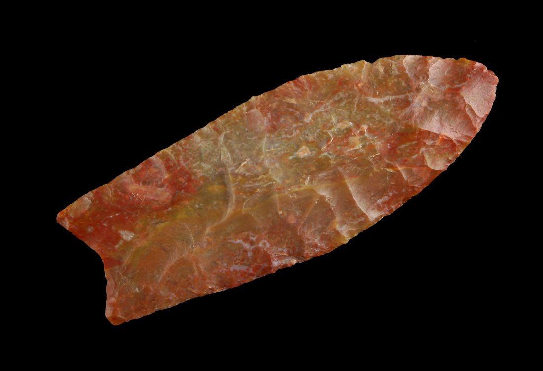 Killer 3" Kansas Clovis - Jackson G-10 COA (1 of 3)