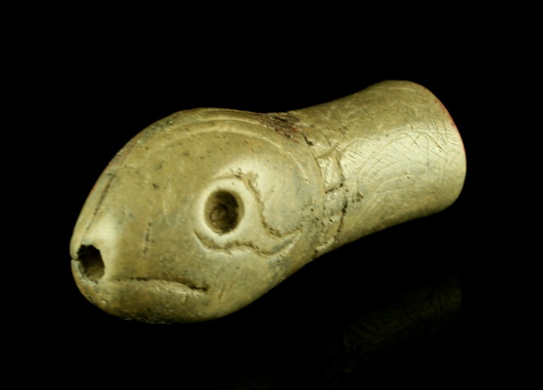 2 7/8" Redeared Slider Turtle Pipe (1 of 4)