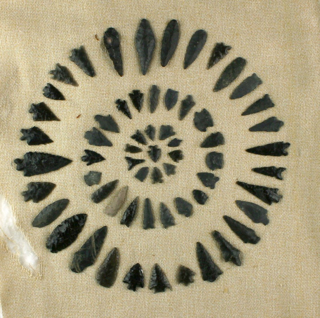 Display of 61 Nevada Arrowheads (1 of 1)