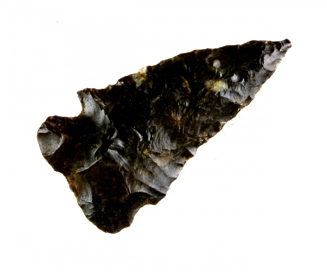 1 5/8" Pinetree: Fort Payne chert example from Whitley Co., Kentucky. Ex- Robinson Collection.