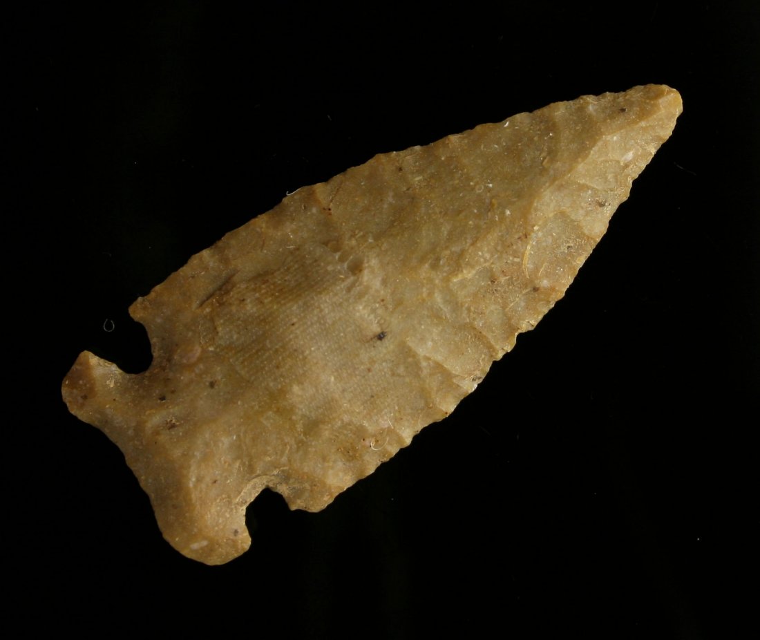 2 5/16" Intrusive Mound (1 of 2)