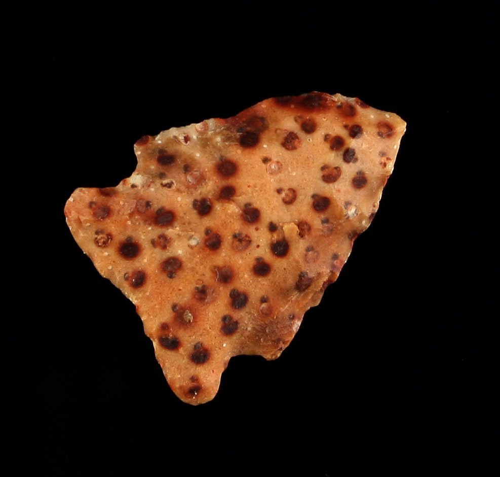 1" San Patrice - Jackson COA (1 of 2)