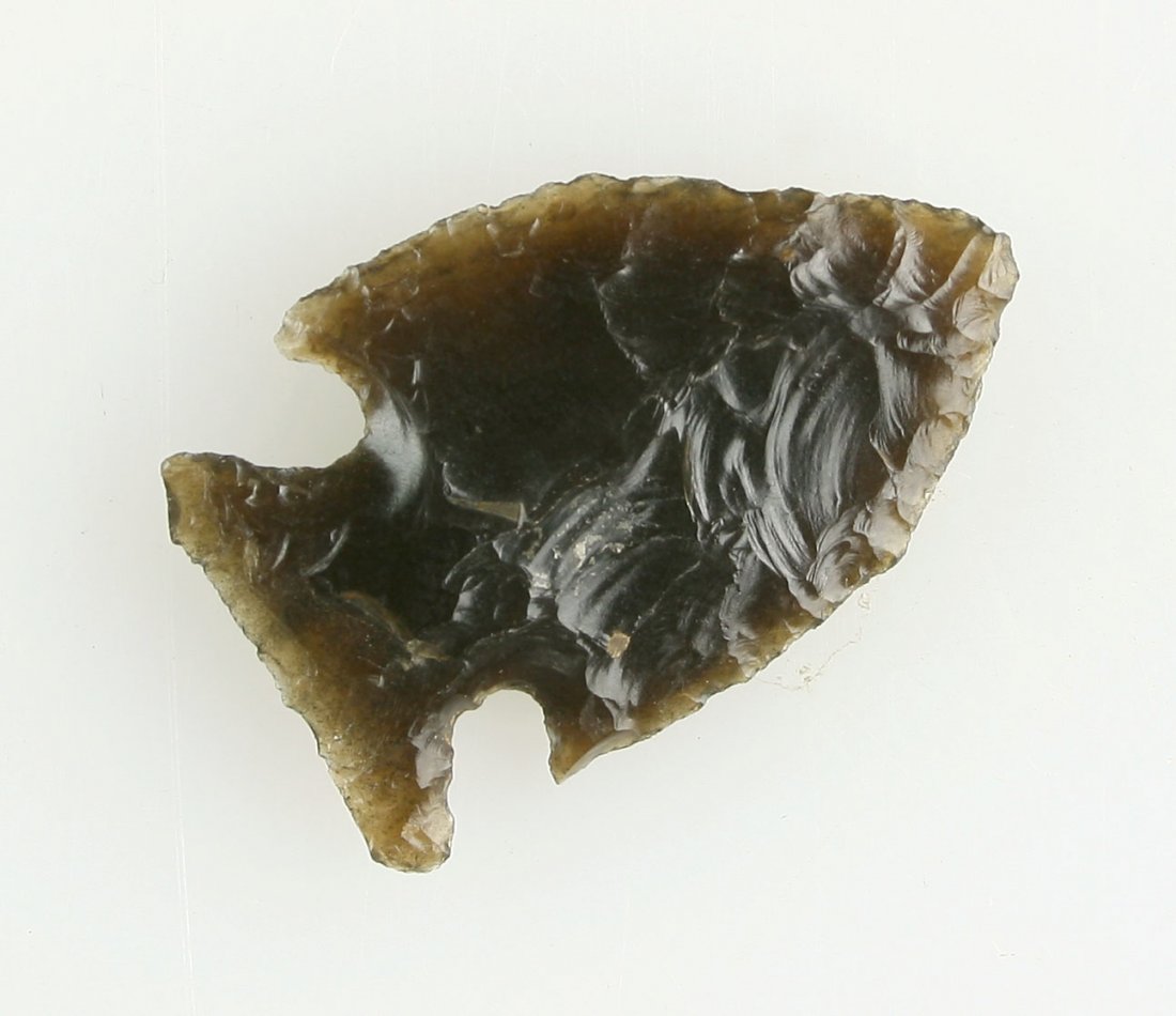 1 1/4" Jacks Reef (1 of 2)