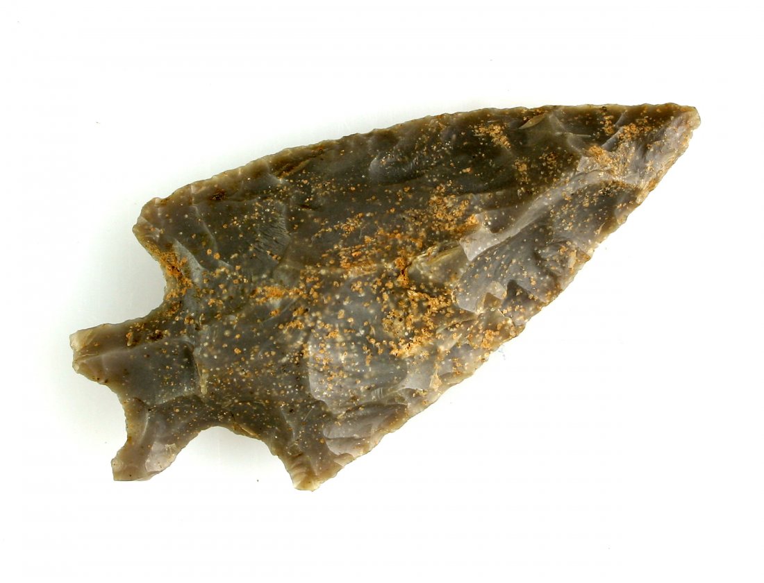 2 1/2" Kirk Bifurcate (1 of 2)