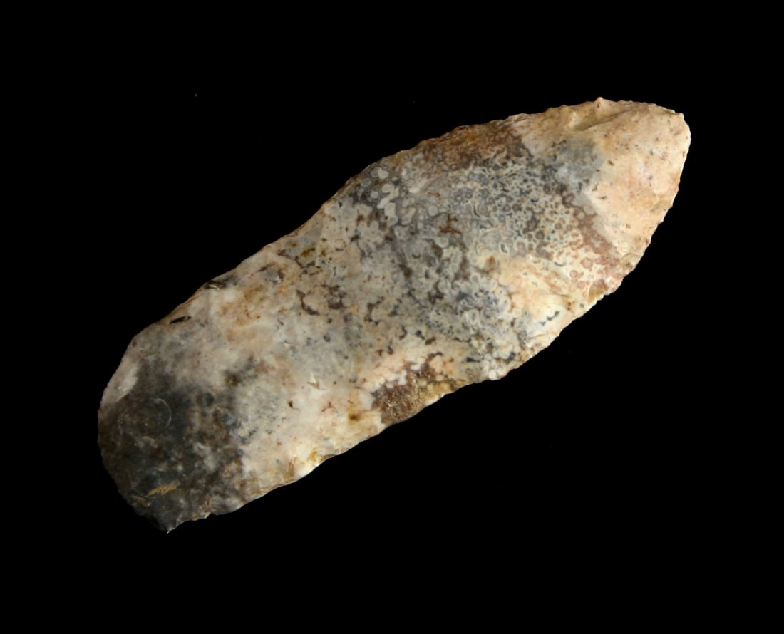 1 7/16" Spedis: Reported found in the 1930's by S.E. Baker at the 'Chehalis Washington, Airport Paleo Site' Ex Richard Bachman of Issaquah, Washington.