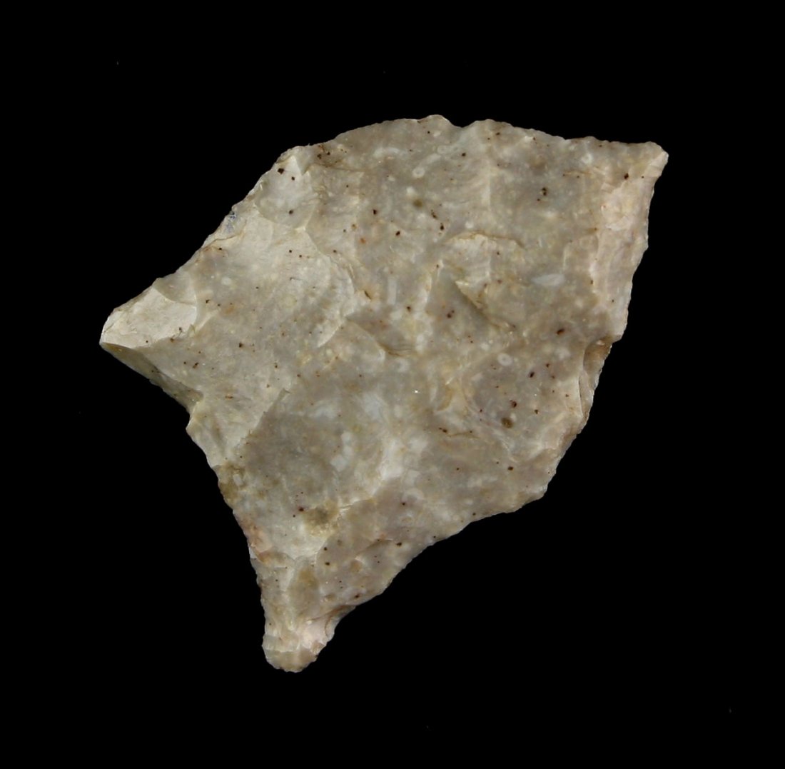 1 1/8" AZ Paleo Dart (1 of 2)